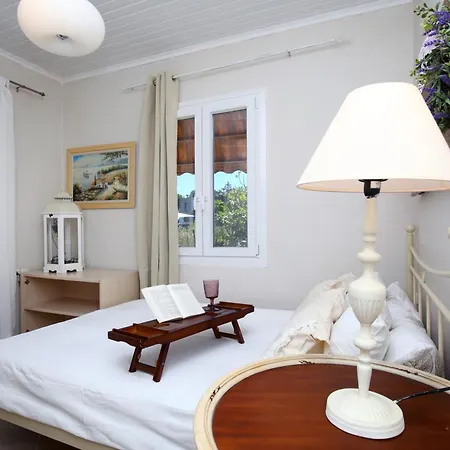 Ailanto Case de vacanță