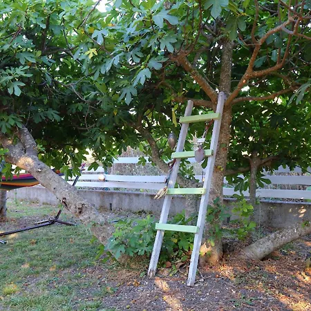 Case de vacanță Ailanto Ligia