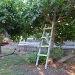Holiday home Ailanto Lygia (Lefkada)