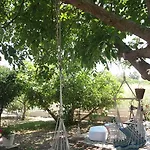 Ailanto Lygia (Lefkada)