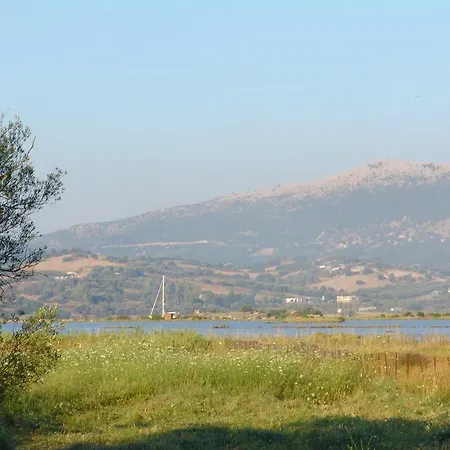 Casa vacanze Ailanto *
