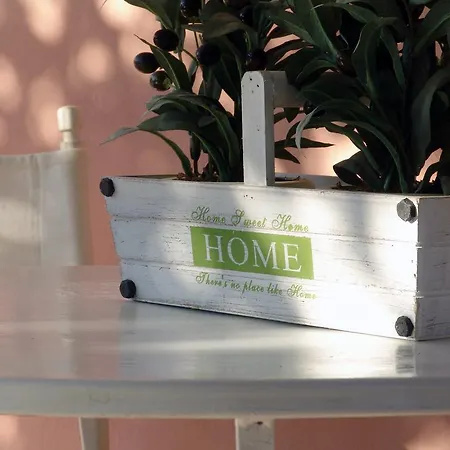 Casa vacanze Ailanto
