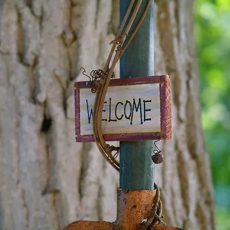 Ferienhaus Ailanto *