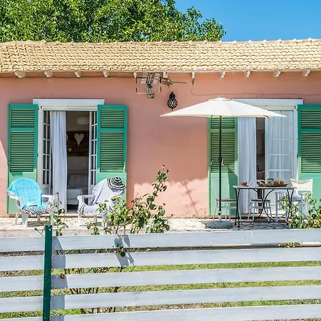 Ailanto Holiday home *